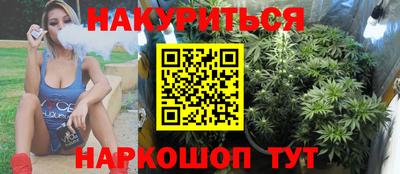 трава Кингисепп